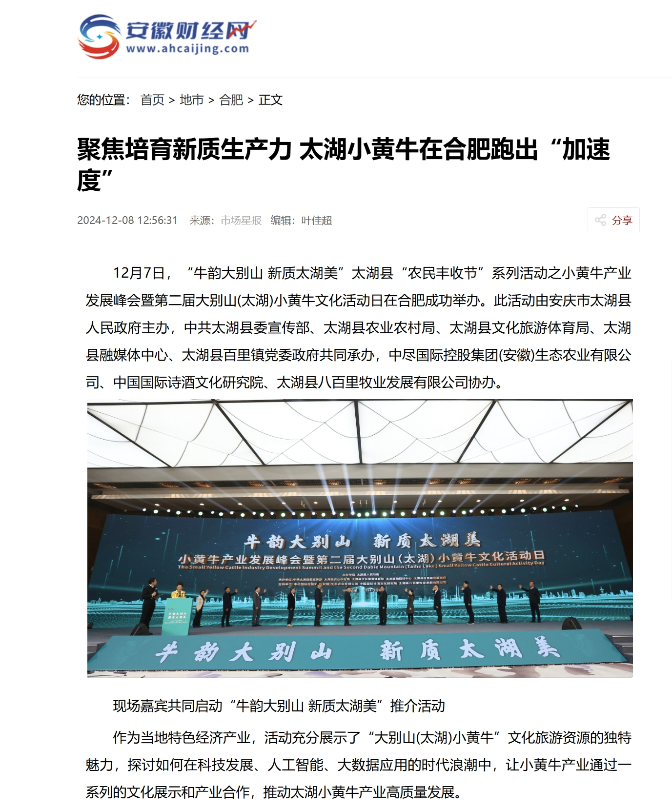 安徽财经网.png