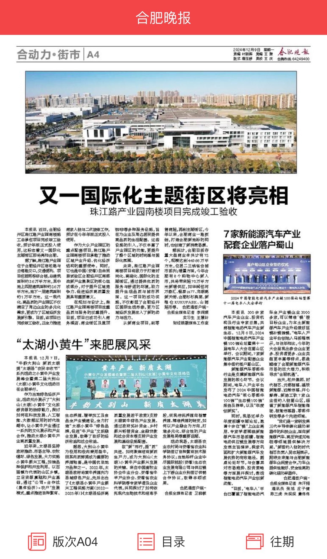 合肥晚报.jpg