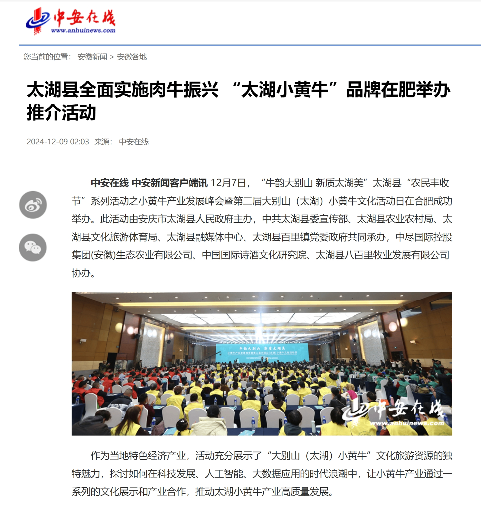 中安在线.1.png