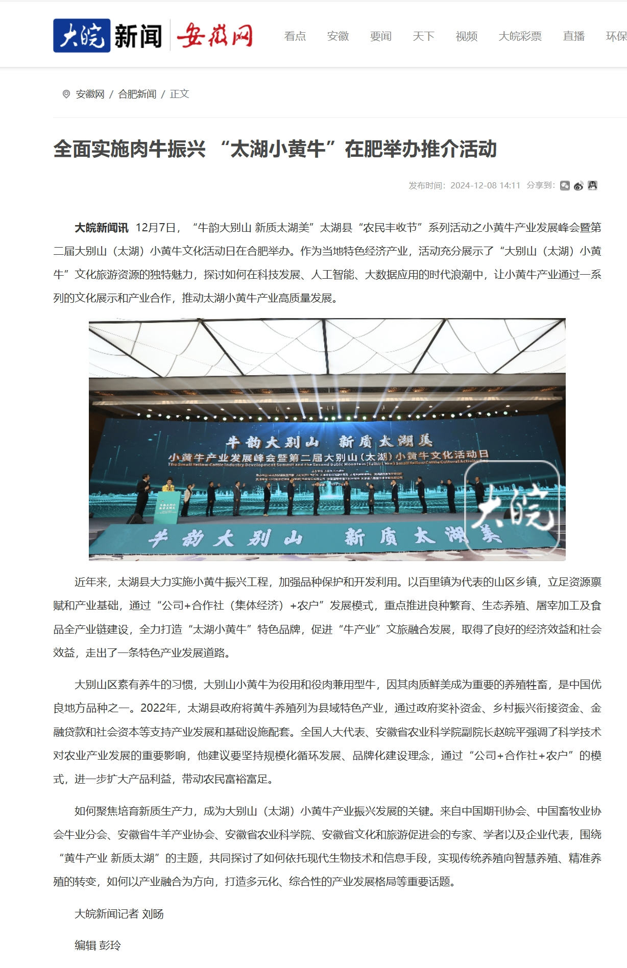大皖新闻-安徽网.png