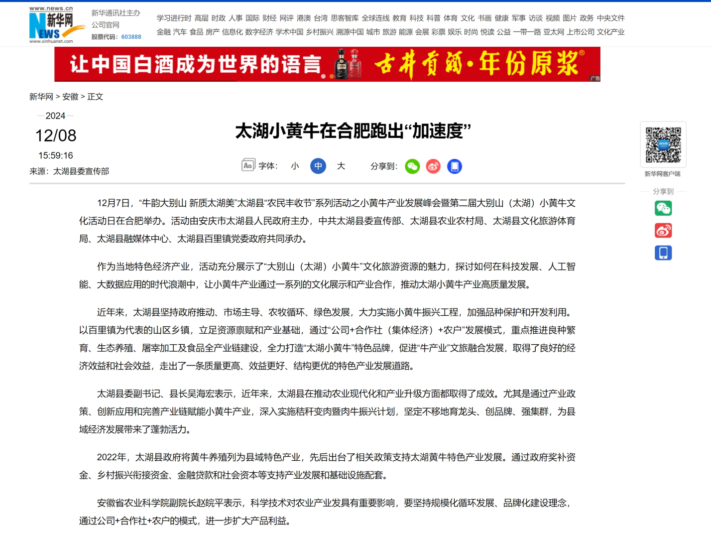 新华网1.png